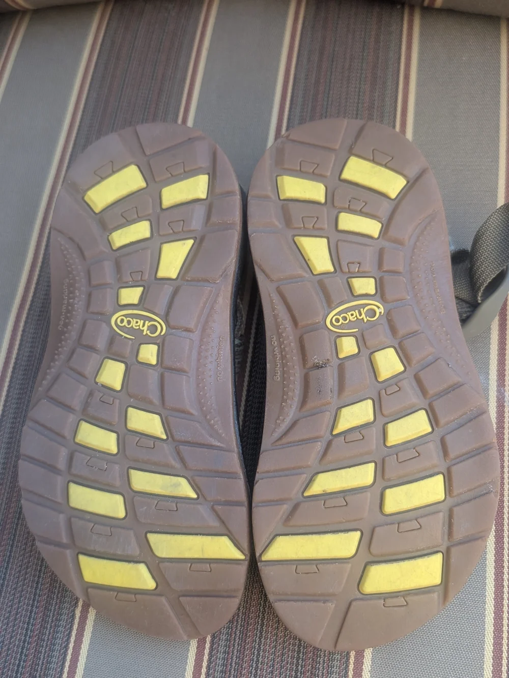 Chaco Kids Sandals Olive Green with Black and Brown Sole